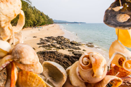 Beautiful beach with blind shells.
