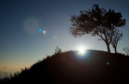 Silhouette of tree on the mountain when sunrise.の写真素材