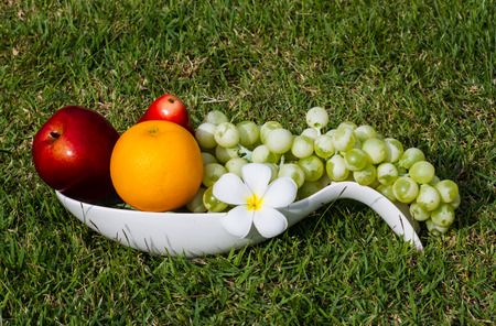 Healthy fruits in the garden.の写真素材