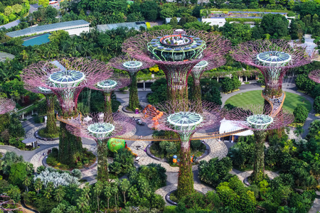 SINGAPORE-AUGUST 29: Day view of The Supertree Grove, Cloud Forest & Flower Dome at Gardens by the Bay on August 29,2016 in Singapore. Spanning 101 hectares, and five-minute walk from Bayfront MRT Station.のeditorial素材
