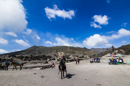 EAST JAVA, INDONESIA - AUGUST 25: The horses available for service tourist  at Mount Bromo volcano on August 25,2016 in East Java, Indonesia.のeditorial素材