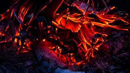 Burning wood. Campfire. Fire Backgroundの写真素材