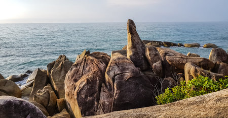 Hin Ta Hin Yai rock ,the symbol of Koh Samui,Thailand.