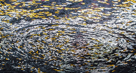 Broken glasses decoration wall in buddhist temple.の写真素材