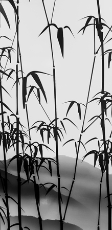 Bamboo vector in chinese stylr.の写真素材