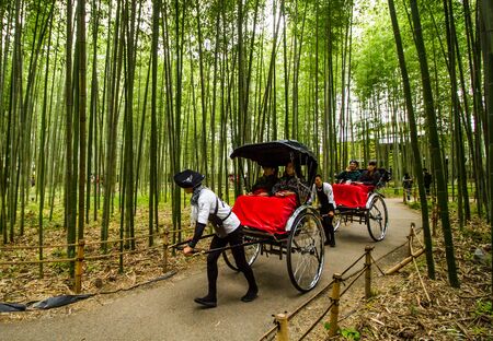 KYOTO, JAPAN - NOVEMBER 25, 2019: Visitors ride a rickshaw at bamboo path in Arashiyama, Kyoto, Japan. Arashiyama is a nationally-designated Place of Scenic Beauty and Historic Site.のeditorial素材