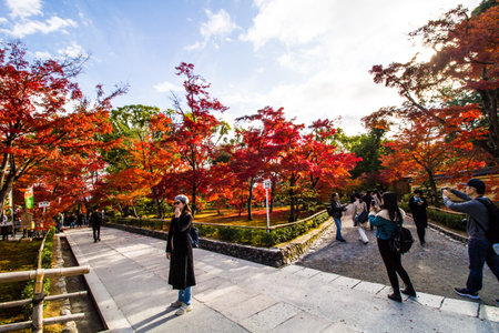 KYOO,JAPAN-NOVEMBER 25, 2019: Tourist enjoying red maple leaves in front of Kinkakuji temple.This temple is one of tourist destination for Golden pavilion.のeditorial素材