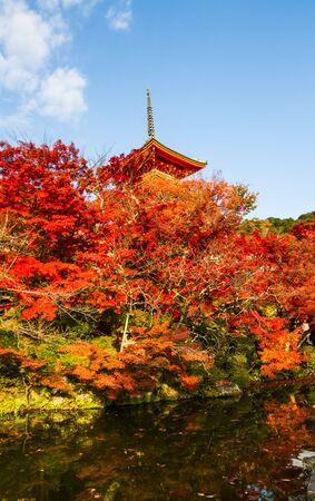 Autumn color at Kiyomizu-dera,Kyoto.のeditorial素材