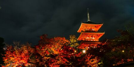 Lighting show at Kiyomizu-dera temple,Kyoto in autumn.のeditorial素材