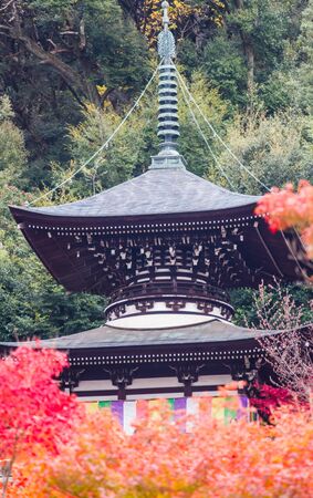 Autumn at Eikando Zenrinji temple,Kyoto.のeditorial素材