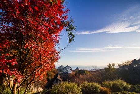 KOBE,JAPAN- NOVEMBER 30,2019:Autumn at Kobe Nunobiki herb gardens at Kobe ,Japan.Visitors can go by cable car or walk to central station and top station.のeditorial素材