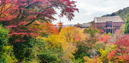 Autumn color at Kiyomizu-dera temple Kyoto.のeditorial素材