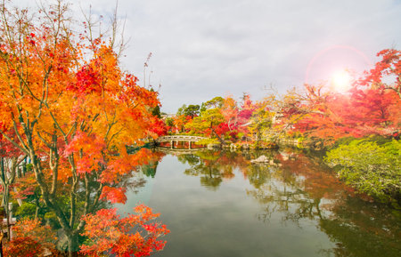 Autumn at Eikando Zenrinji temple,Kyoto.