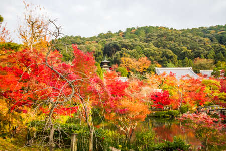Autumn at Eikando Zenrinji temple, Kyoto.のeditorial素材