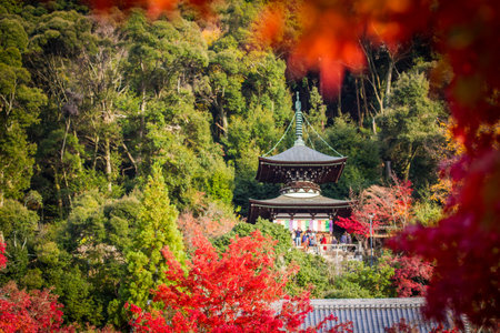 KYOTO,JAPAN-NOVEMBER 27,2019:Visitors enjoying colorful leaves  in Eikando Zenrinji temple...