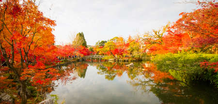 Autumn at Eikando Zenrinji temple, Kyoto.のeditorial素材