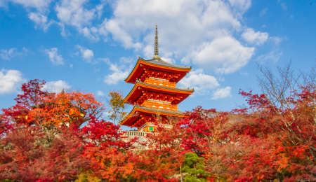 KYOTO,JAPAN-NOVEMBER 26,2019:Tourists visiting Kiyomizu-dera temple in autumn ,Kyoto. This place is one of Kyoto destination for visitor.のeditorial素材