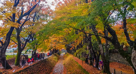 KAWAGUCHIKO,JAPAN-NOVEMBER 23,2019:Tourist visiting Momiji Kairo at Kawaguchiko lake ,Japan for beautiful view of colorful leaves This place is one of tourist destination in autumnのeditorial素材