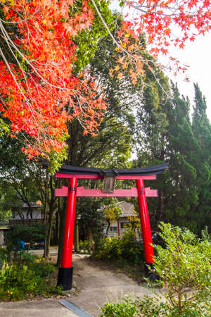 Autumn at Fushimi Inari shrin,Kyoto.のeditorial素材