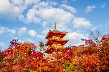 Autumn color at Kiyomizu-dera,Kyoto.のeditorial素材
