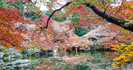 Autumn at Daigoji temple,Kyoto.