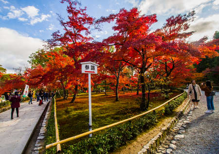 KYOO,JAPAN-NOVEMBER 25, 2019: Tourist enjoying red maple leaves in front of Kinkakuji temple.This temple is one of tourist destination for Golden pavilion.のeditorial素材