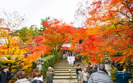 KYOTO,JAPAN-NOVEMBER 27,2019:Visitors visiting  Eikando Zenrinji temple in autumn ,Kyoto.This place...