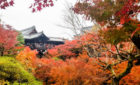 KYOTO,JAPAN-NOVEMBER 27,2019:Visitors visiting  Tofukuji temple in autumn, Kyoto. This place is one of destination for visitor who come to Kyoto. .のeditorial素材