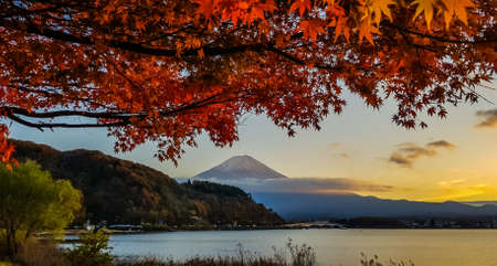 Autumn at kawaguchiko lake with Mt.Fuji background.の写真素材