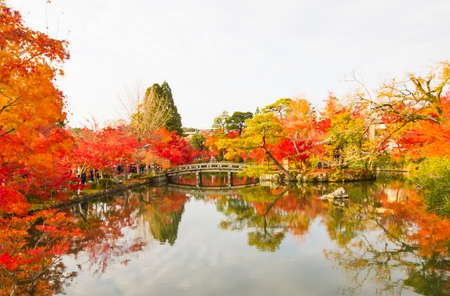 Autumn at Eikando Zenrinji temple,Kyoto.の写真素材