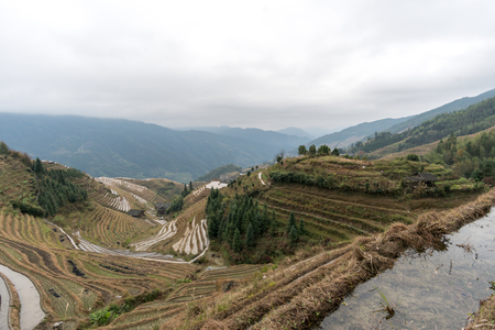 rice terraced fields of Wengjia longji Longsheng Hunan Chinaの写真素材