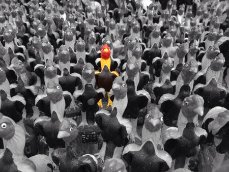 Roostersの素材