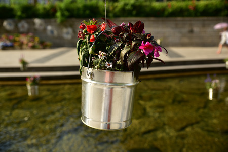 White River and flower (Survival)の写真素材