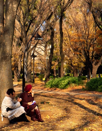 Autumn Creamの素材