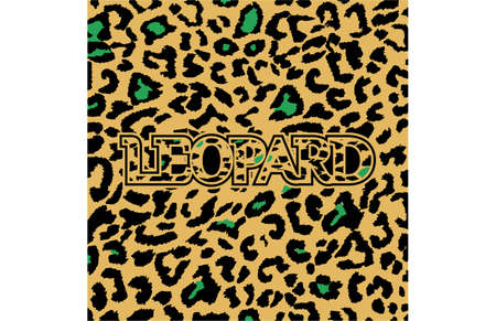 Leopard Pattern Design Vectorのイラスト素材