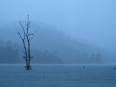 Khao sok, Surat Thani, Thailandの写真素材