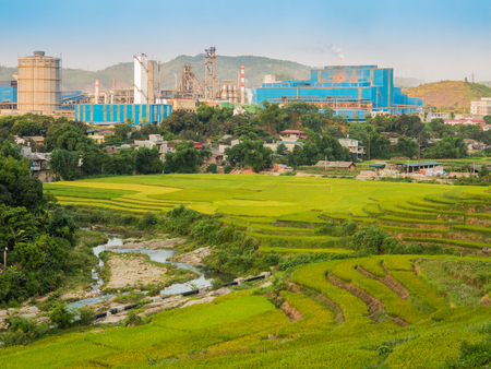 Rice terraces with factory backgroundの写真素材