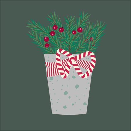 Spruce branches in vaseのイラスト素材