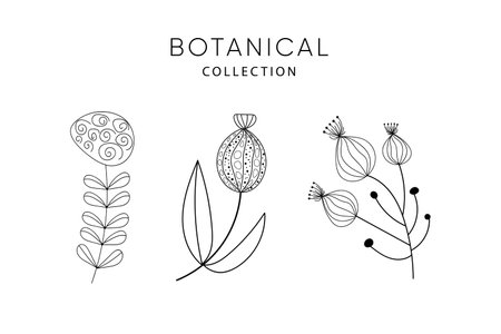 Set of flowers elements. Collection botanical vector isolated on white background suitable for Wedding Invitation, save the date, thank you, or greeting card.のイラスト素材