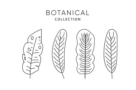 Set of leaves elements. Tropical leafes. Vector 10ESPのイラスト素材
