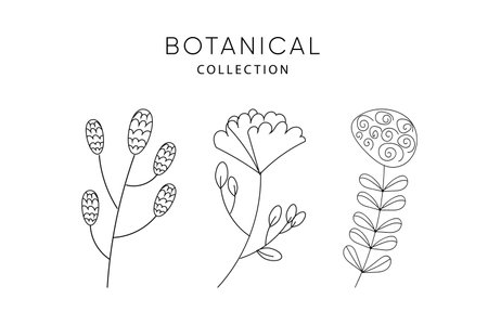 Set of leaves elements. Magic flowers. Collection botanical vector isolated on white background suitable for Wedding Invitation, save the date, thank you, or greeting card.のイラスト素材