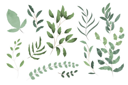 Set of watercolor green leaves elements. Collection botanical vector isolated on white backgroundのイラスト素材