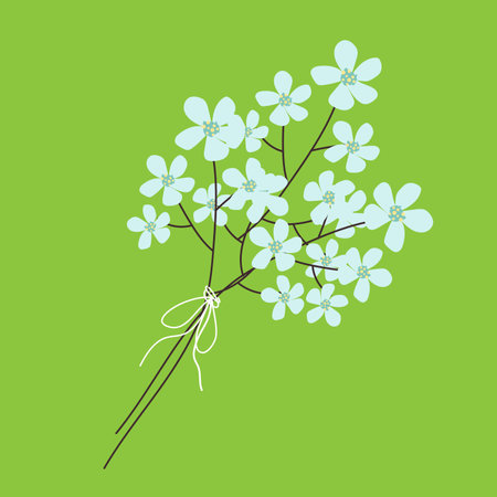Cherry blossom spring branch on green background. Vector illustrationのイラスト素材