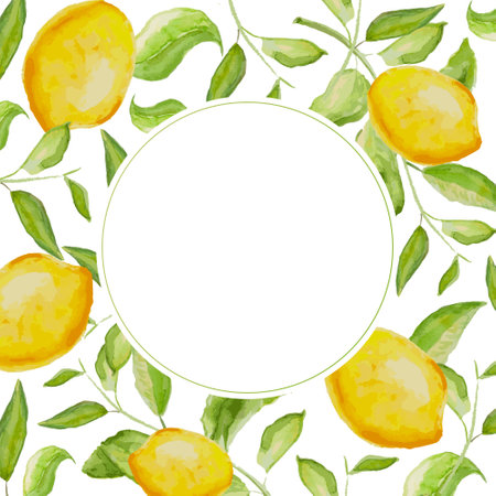 Herbal vector watercolor lemon frame. Hand painted green lemon and branches on white background. Natural card design.のイラスト素材