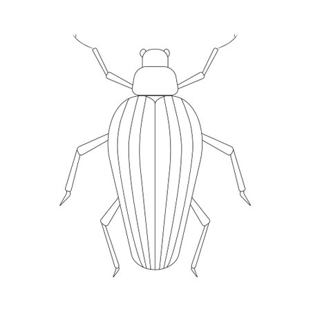 Beetle linear illustration botanical collection. Vector illustrationのイラスト素材
