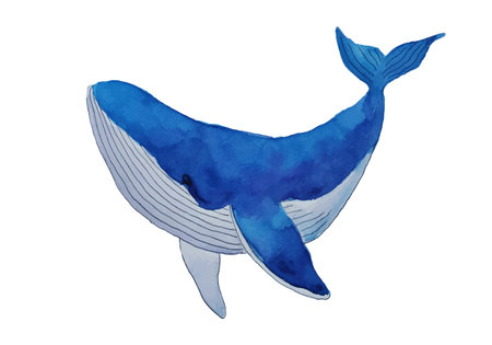 Blue whale watercolor art isolated on white background. Marine style for greeting card logo or decorationのイラスト素材