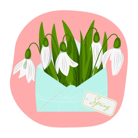Snowdrop Day card, snowdrops in a blue envelope. Spring time. Vector illustrationのイラスト素材