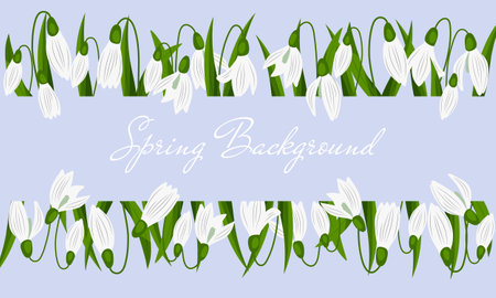 Background with Snowdrops isolated on blue background. Spring time Vector illustrationのイラスト素材