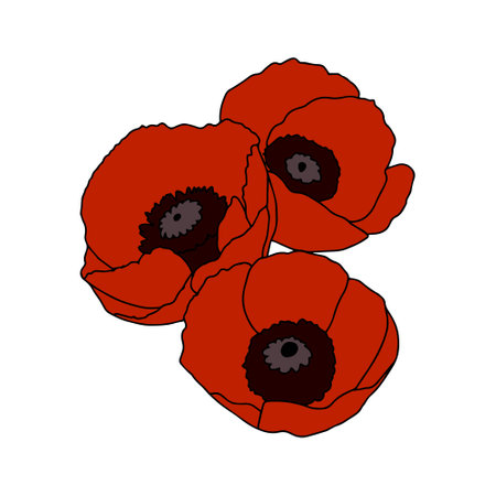Red poppies on a white background. Big red flowers. Summer vector illustration for print textile,fabric,wrapping paper.のイラスト素材