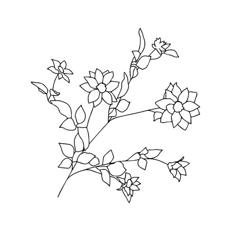 Flower line art. Minimalist contour drawing. Line art. Vectorのイラスト素材